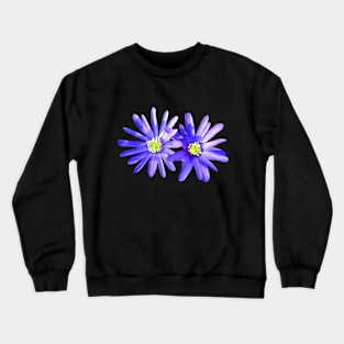 blue anemones, flowers, flowers Crewneck Sweatshirt